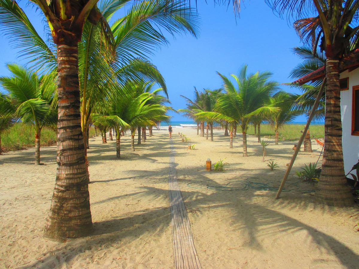Beach Front Bungalows At The Coconut Canoa Luaran gambar